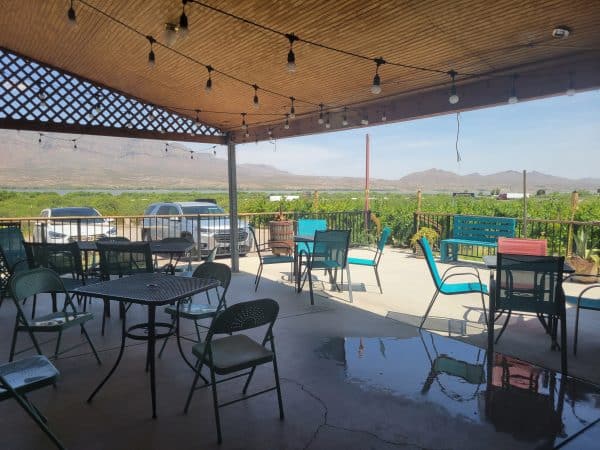 Shattuck Vineyard