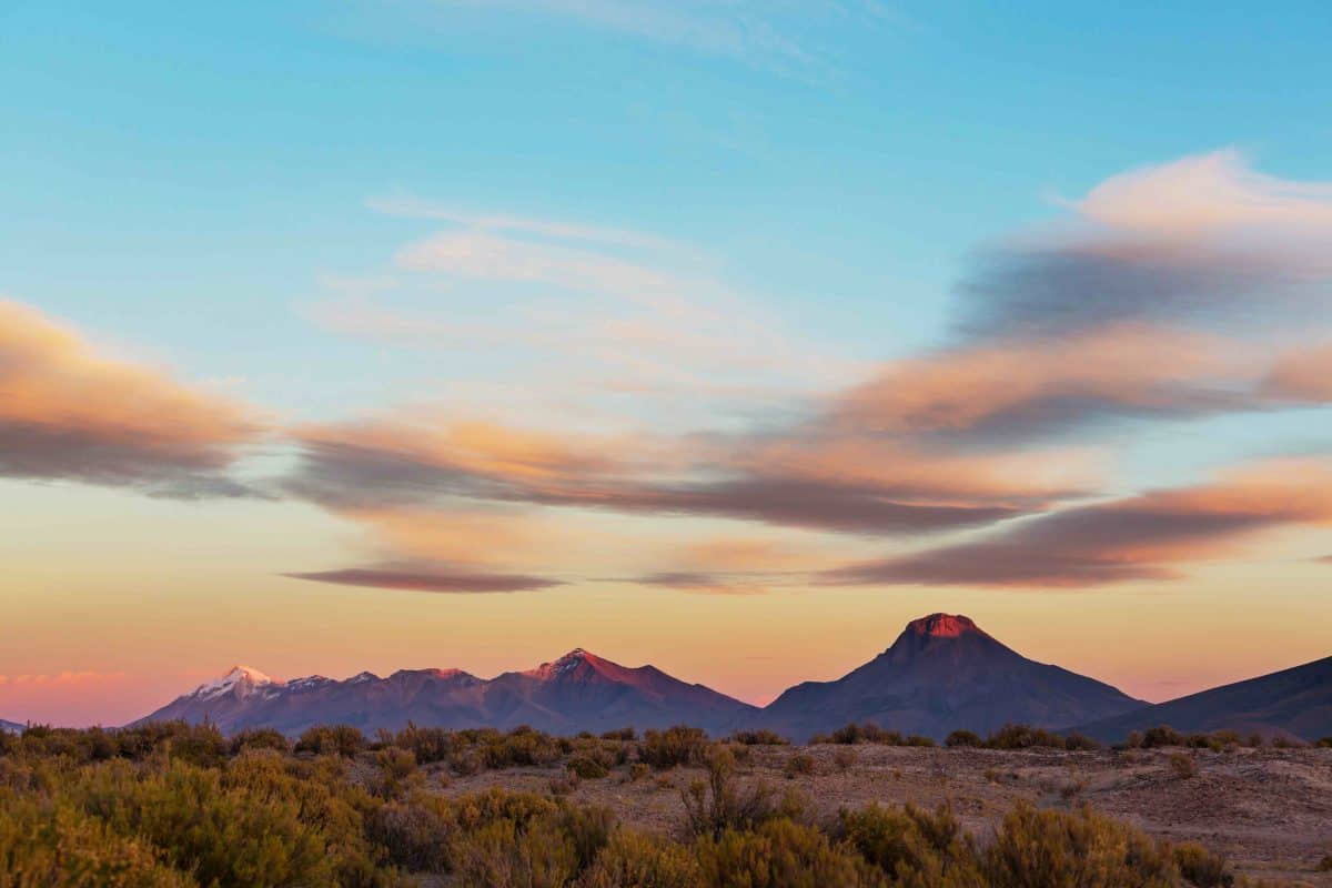 new mexico real estate