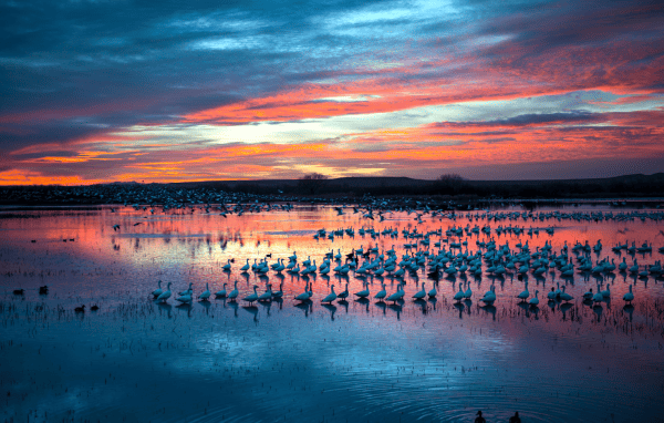 Apache National Wildlife Refuge